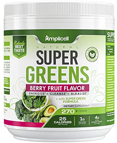 Super Greens - 270g Super Food Green Juice Organic Blend - Fruit and Vegetable Powder Supplement w/Probiotics - Non-GMO Organic Plant Food Green Drink Mix - Premium Superfood Veggie Juice Cleanse